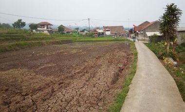 350 Tumbak Sawah Masuk Gang Motor di Cisalak, Kertajaya, Padalarang, Bandung Barat