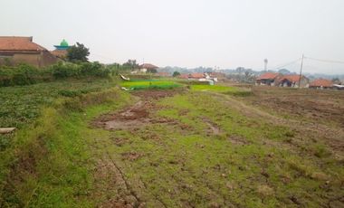 350 Tumbak Sawah Masuk Gang Motor di Cisalak, Kertajaya, Padalarang, Bandung Barat