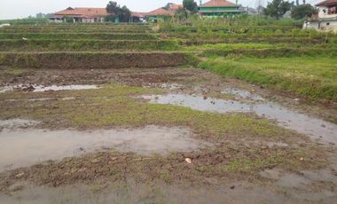 350 Tumbak Sawah Masuk Gang Motor di Cisalak, Kertajaya, Padalarang, Bandung Barat