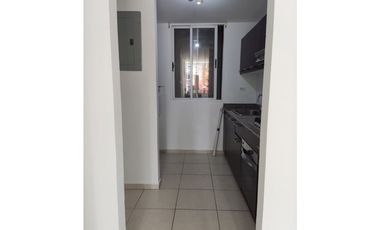 ALQUILER DE APARTAMENTO EN ALSACIA (YP)