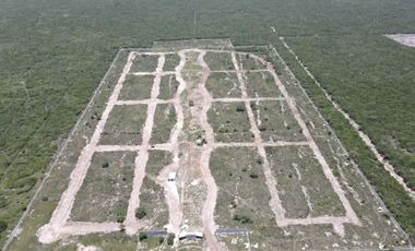 Terreno en venta, San Crisanto, Sinanché, Yucatán.