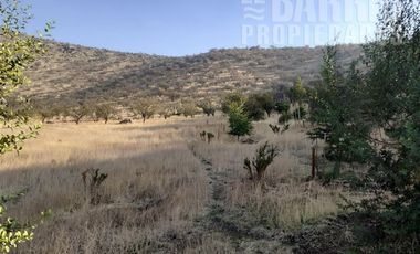 Sitio en Venta en Chamisero / Chicureo