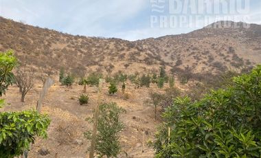 Sitio en Venta en Chamisero / Chicureo