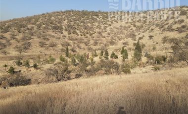 Sitio en Venta en Chamisero / Chicureo