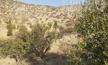 Sitio en Venta en Chamisero / Chicureo