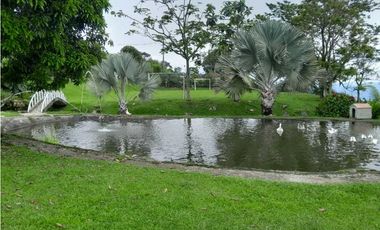 VENTA  FINCA TAMESIS, SUROESTE ANTIOQUEÑO