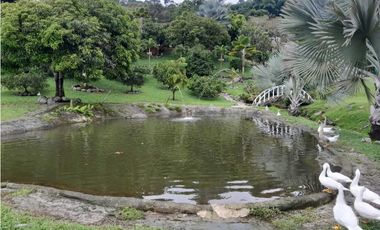 VENTA  FINCA TAMESIS, SUROESTE ANTIOQUEÑO