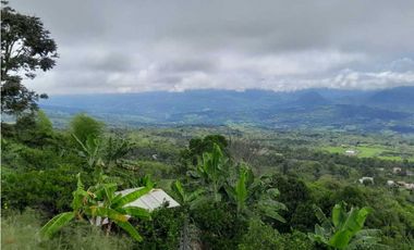 VENTA  FINCA TAMESIS, SUROESTE ANTIOQUEÑO