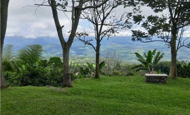 VENTA  FINCA TAMESIS, SUROESTE ANTIOQUEÑO