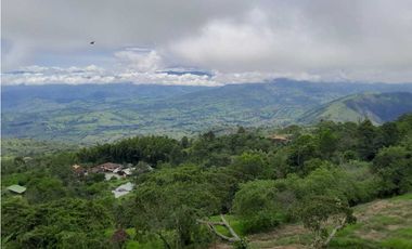 VENTA  FINCA TAMESIS, SUROESTE ANTIOQUEÑO