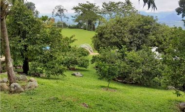 VENTA  FINCA TAMESIS, SUROESTE ANTIOQUEÑO