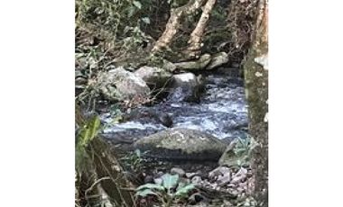 VENDO UNA (01) HECTAREA CON AGUA - GUACA