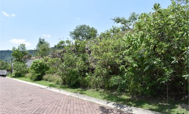 La noria: lote con paredón de piedra