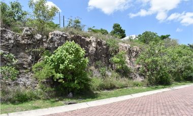 La noria: lote con paredón de piedra