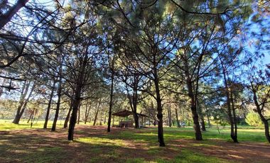 Venta  de Terreno en el Bosque de la Primavera En Jalisco Lote 4