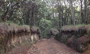 Venta  de Terreno en el Bosque de la Primavera En Jalisco Lote 4