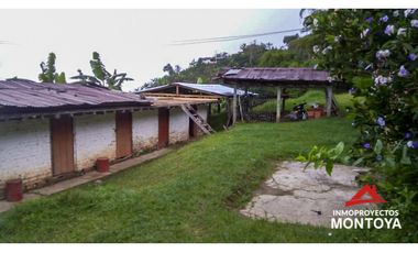 Finca ganadera y cafetera en Balboa, Risaralda