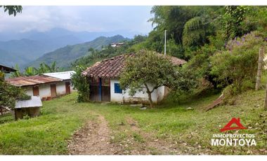 Finca ganadera y cafetera en Balboa, Risaralda