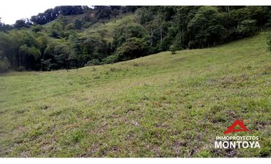 Finca ganadera y cafetera en Balboa, Risaralda