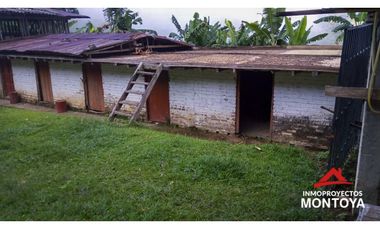 Finca ganadera y cafetera en Balboa, Risaralda