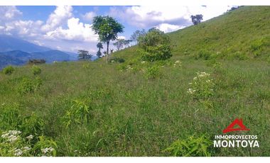 Finca ganadera y cafetera en Balboa, Risaralda