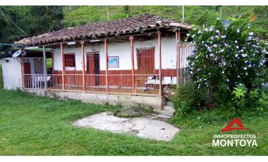 Finca ganadera y cafetera en Balboa, Risaralda