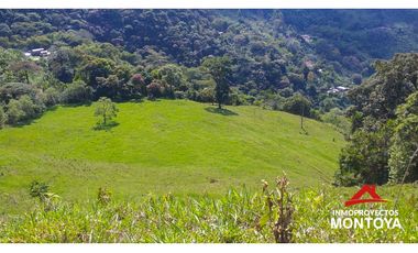 Finca ganadera y cafetera en Balboa, Risaralda