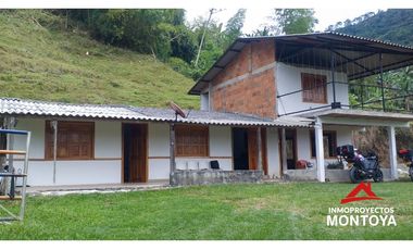 Finca ganadera y cafetera en Balboa, Risaralda