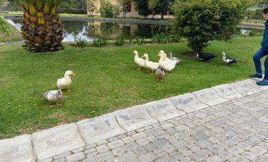 Venta de Casa en Checa Pakakuna Gardens