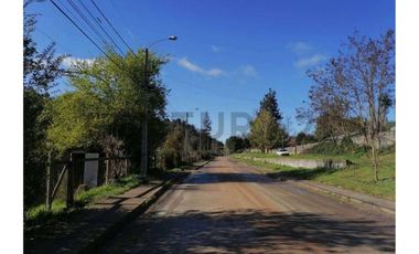 SE VENDE PARCELA DE 3.6 Ha EN PERIQUILLO, HUALQUI