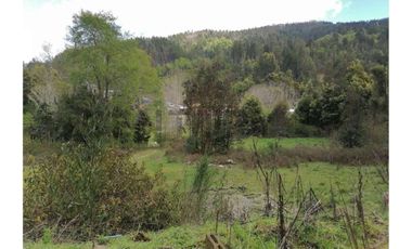 SE VENDE PARCELA DE 3.6 Ha EN PERIQUILLO, HUALQUI