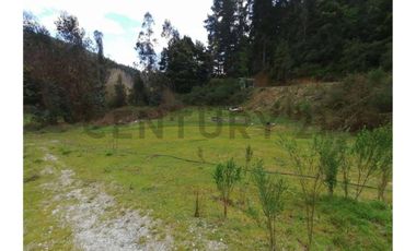 SE VENDE PARCELA DE 3.6 Ha EN PERIQUILLO, HUALQUI