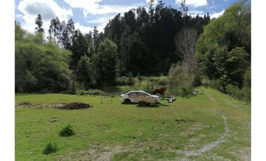 SE VENDE PARCELA DE 3.6 Ha EN PERIQUILLO, HUALQUI