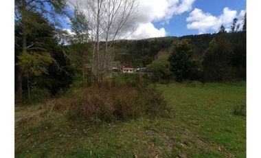 SE VENDE PARCELA DE 3.6 Ha EN PERIQUILLO, HUALQUI