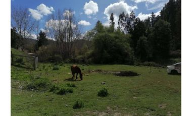 SE VENDE PARCELA DE 3.6 Ha EN PERIQUILLO, HUALQUI