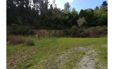 SE VENDE PARCELA DE 3.6 Ha EN PERIQUILLO, HUALQUI