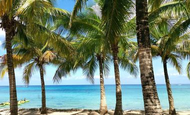 Departamento a pasos del mar en Zona Hotelera Sur de Cozumel, pre construcción