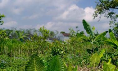 Hunian Murah Include Private Pool Sleman Harga Mulai Dari 1,2 M