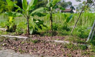 Hunian Murah Include Private Pool Sleman Harga Mulai Dari 1,2 M