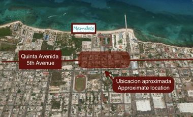 Local sobre la Quinta Avenida de Playa del Carmen en venta.
