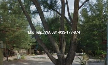 Dijual Cepat Tanah Tepi Pantai Gili Trawangan - Lombok