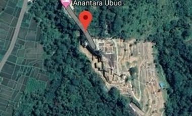 Dijual Tanah 3,9 Hektar Di Payangan Ubud Sebelah Hotel Anatara Resort