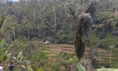 Dijual Tanah 3,9 Hektar Di Payangan Ubud Sebelah Hotel Anatara Resort