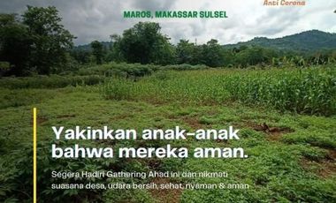 Kavling Tanah Kampung Herbal Dekat Makassar Bonus Tanaman Herbal