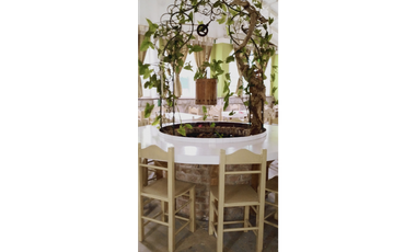 QUINTA URBANA - ANTIGUA CASONA CON SALON DE FIESTA-GRAN PARQUE
