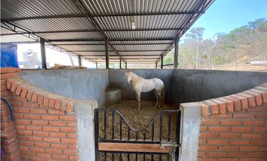 RANCHO EN EXPLOTACIÓN EN EL KM 29 OCOzOCOAUTLA - VILLAFLORES
