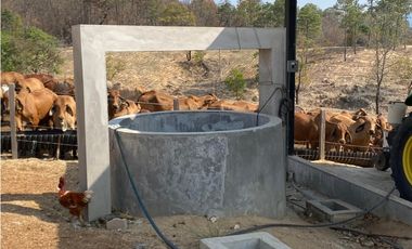 RANCHO EN EXPLOTACIÓN EN EL KM 29 OCOzOCOAUTLA - VILLAFLORES