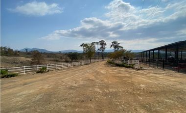 RANCHO EN EXPLOTACIÓN EN EL KM 29 OCOzOCOAUTLA - VILLAFLORES