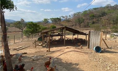 RANCHO EN EXPLOTACIÓN EN EL KM 29 OCOzOCOAUTLA - VILLAFLORES