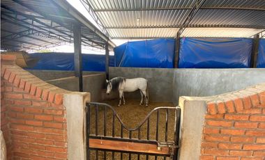 RANCHO EN EXPLOTACIÓN EN EL KM 29 OCOzOCOAUTLA - VILLAFLORES